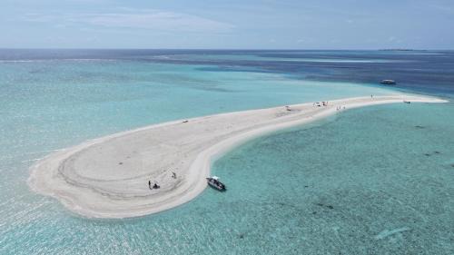 Felidhoo House | Uhoo's Lavish Oasis