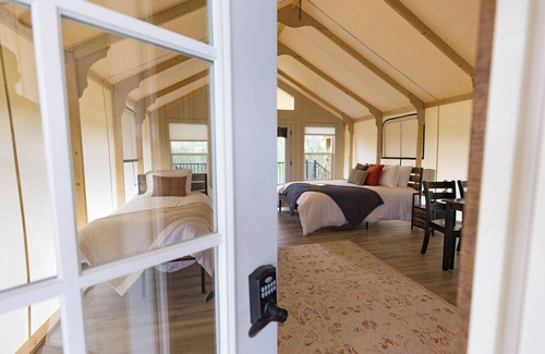 Williamstown Apartment | Ultimate Family Glamping Tent (w/twisty slide)
