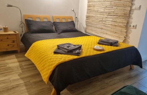 Bistrita Apartment | Ultracentral Garage studio