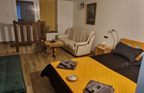 Bistrita Apartment | Ultracentral Garage studio
