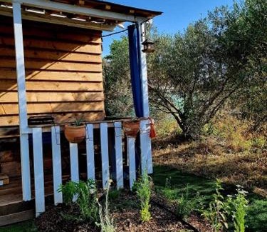 Costieres Apartment | Un chalet dans les oliviers 3 nuits mini