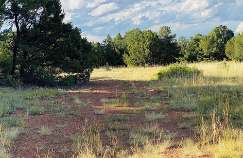 Walsenburg RV Rental | Under The Stars Colorado campground. 420. Bring Your TENTS! Lots of trees.