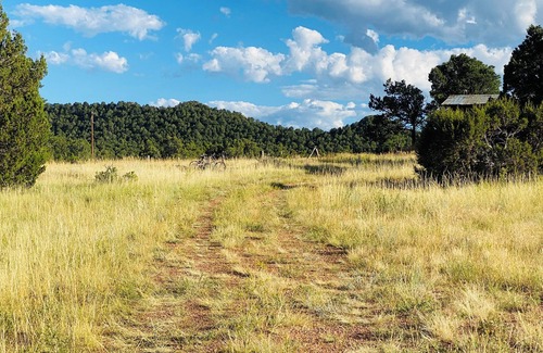 Walsenburg RV Rental | Under The Stars Colorado campground. 420. Bring Your TENTS! Lots of trees.