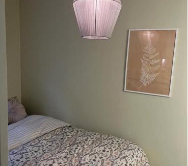 Trondheim City Centre Apartment | Unik og koselig leilighet midt i sentrum av Trondheim