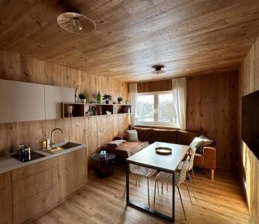 Cerna V Posumavi Apartment | Unique Lipno Apartment