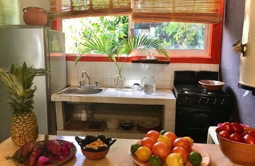 Amapas House | Unique Studio Beach RG4