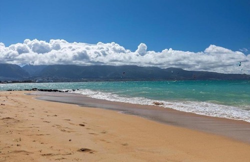 Wailuku Apartment | Unit 2 Maui Ohana Modern Studio