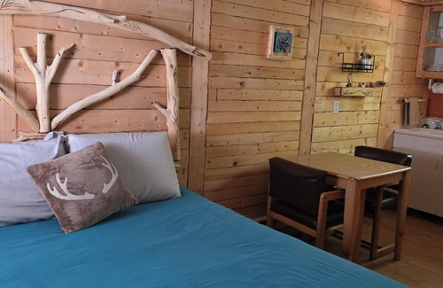 Cedaredge Cabin | “Unit 3 at the Cedaredge Lodge: Snuggle In With Your Pet in True Colorado Style”