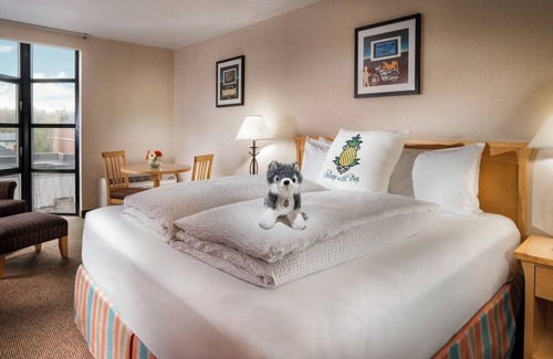 University District Hotel | University Inn King Room, Complimentary Bikes, Near Husky Stadium