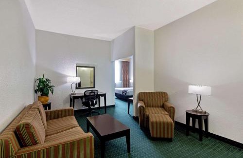 Southwest Berkeley Hotel | University Inn & Suites Berkeley