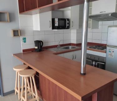 Bellavista Apartment | Uno y Dos dormitorios VIVIR EN SANTIAGO