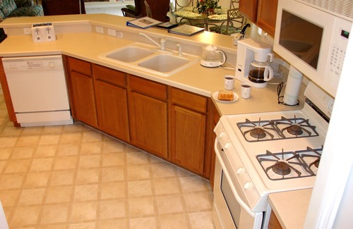 Orange Tree House | Unoverlooked and peaceful- Luxury Disney Villa 4Bed/3Bath - Conservation Views