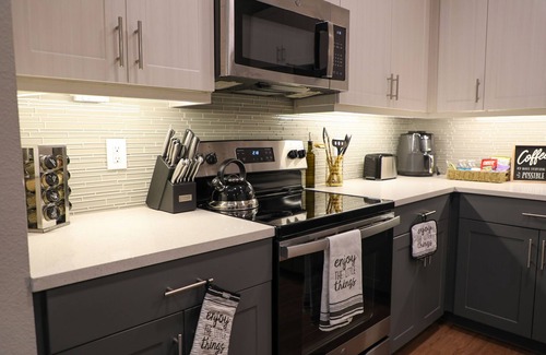 Fort Worth Apartment | Upscale Fort Worth 1 bedroom Apt near AT&T Stadium+TCU+DFW Airport