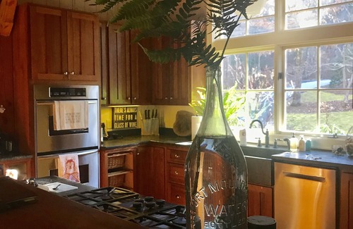 Cashiers Cabin | Upscale modern rustic, close to everything-swim-hike-pickleball-canoe-waterfalls