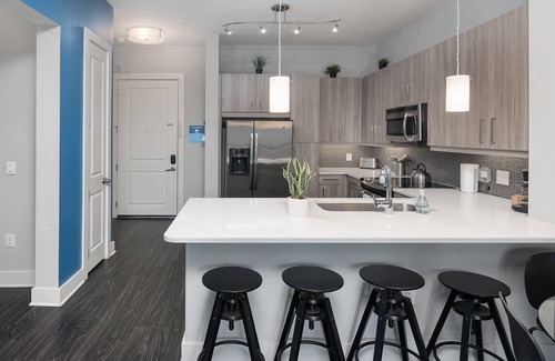 Third Ward Apartment | Uptown 3rd Ward | Luxury Apt | City Skyline View