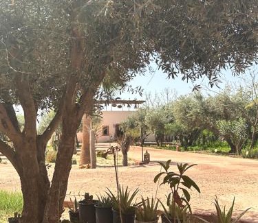 Al Ouidane Hotel | Upupa de l’Atlas