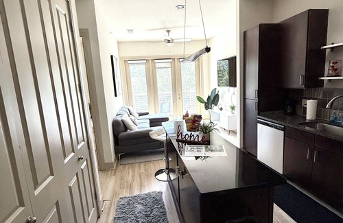 Addison Apartment | Urban Escape in Heart of Addison