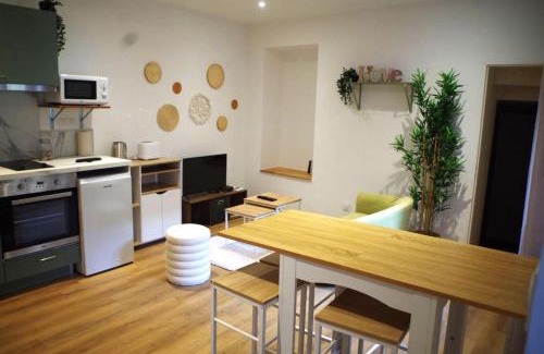 Chalon-sur-Saone Apartment | Urban Oasis, Appartement Chic et Neuf