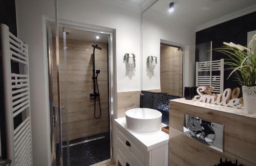 Hunedoara Apartment | Urban Studio - Self Check-in