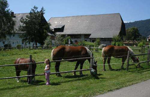 Zeutschach House | Urlaub am Bio-Bauernhof Liebchen