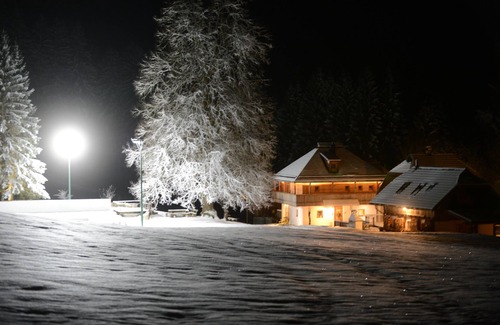 Agsdorf House | Urlaubsalm Kreuth 6 - Almhütte Enzian Total (8pax)