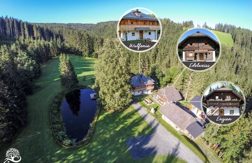 Agsdorf House | Urlaubsalm Kreuth 6 - Almhütte Enzian Total (8pax)