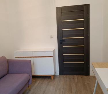 Krakow Apartment | Uroczy Apartament z Garażem