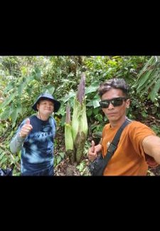Bukit Lawang House | Ustin Nagoya Bukit Lawang Orangutan Trekking & transport only book with us