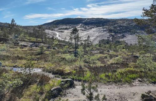 Gautefall Apartment | Utleieleilighet 4 sengeplasser Ski inn og ut