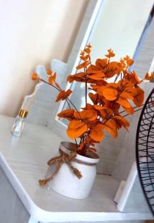 Namugongo Bed & Breakfast | Utopia B&B Kampala Uganda