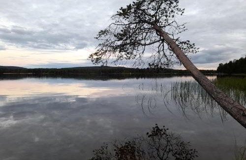 Inari Villa | Uusi hirsimökki 7 henkilölle