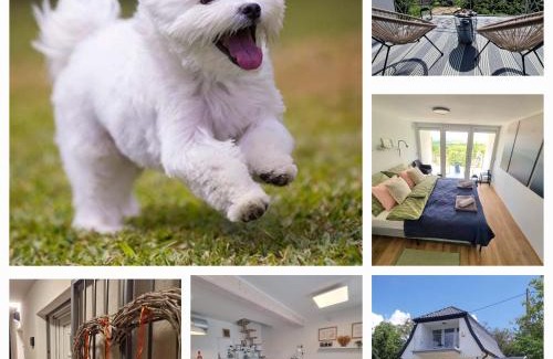 Bakonycsernye House | Várta-Lak Panoráma Présház Vendégház
