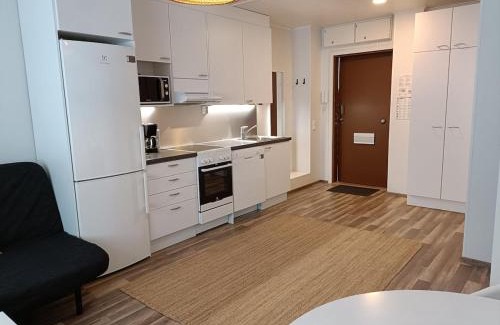 Jyvaskyla Apartment | Väinö Apartment 13