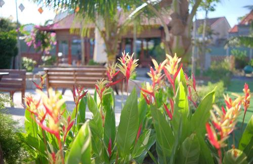 Cua Đai Bed & Breakfast | Vườn Gióng Homestay