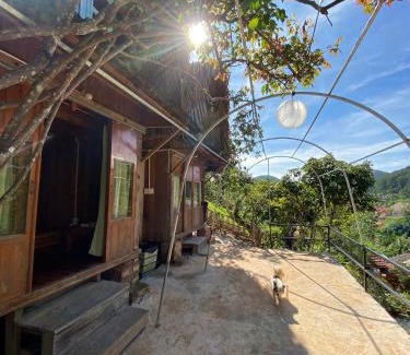 Da Lat House | Vườn Nhà Củi Homestay