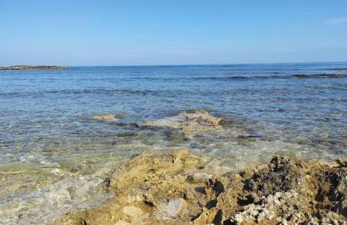 Paparella House | vacanze lido valderice
