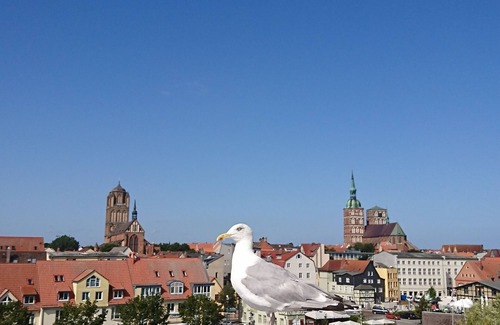 Tribseer Siedlung Apartment | Vacation apartment in the World Heritage City of Stralsund by Baltic Sea beaches