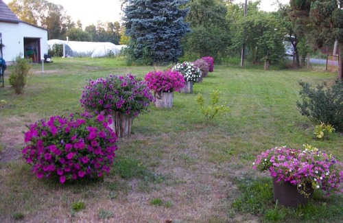 Burg Apartment | Vacation apartment on the vegetable farm on the Spree - Holiday apartment