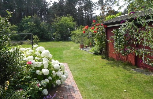 Suddorf Apartment | Vacation apartment *Üüs Aran 2