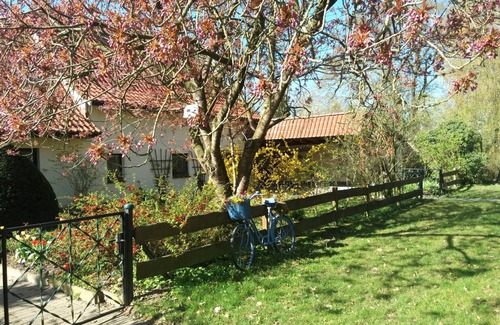 Bad Kleinen Apartment | Vacation apartment/apartment for 3 guests with 20m² in Bad Kleinen (248055)