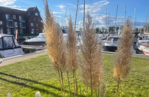 Ueckermuende Apartment | Vacation apartment/apartment for 2 guests with 25m² in Ueckermünde (162433)