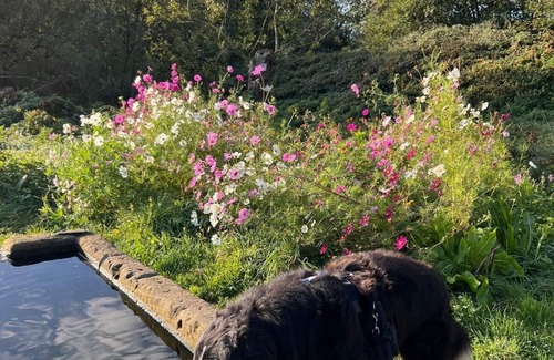 Thomm Apartment | Vacation apartment in Thomm near Trier