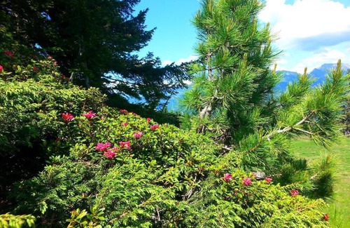 Emberg Apartment | Vacation apartment! Only 300m from the Hochzillertal/Kaltenbach valley run!