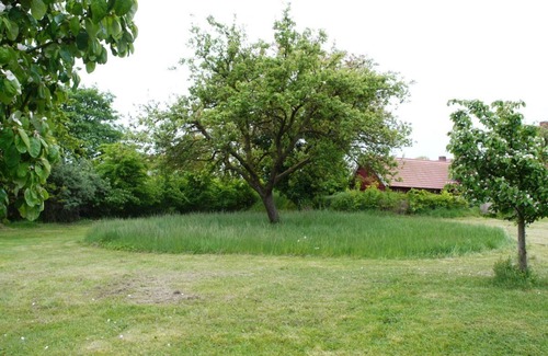 Wohlenberg Apartment | Vacation apartment with Baltic Sea view