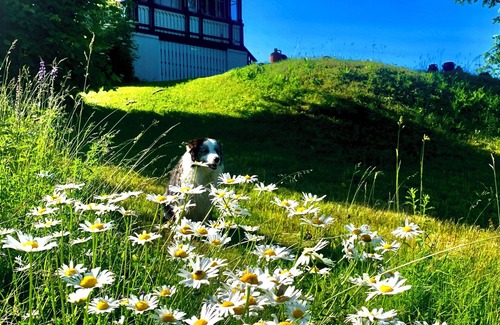 Trahuetten Apartment | Vacation apartments Nature and tranquillity - elegance and style - history and stories
