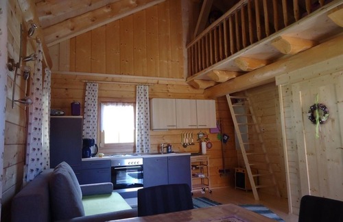 Mortschach House | Vacation home for 4 guests with 42m² in Asten (273688)