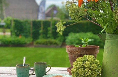 Municipality of Midden-Drenthe Cottage | Vacation home in our garden in Drenthe close to nature reserves.