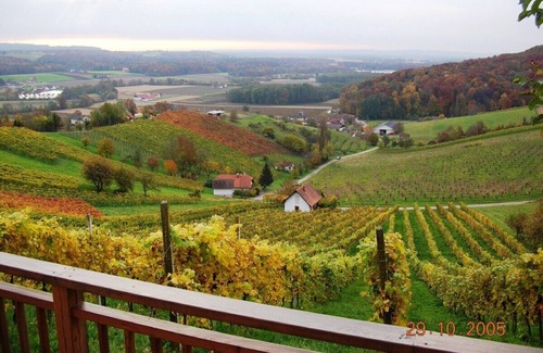 Marktl Cottage | Vacation home in the middle of vineyards