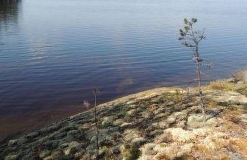 Koli National Park House | Vacation home Suviranta in Lieksa - 6 persons, 1 bedrooms