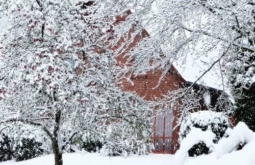 Nieheim Apartment | Vacation home type C, 82sqm, 4 bedrooms, max. 8 persons